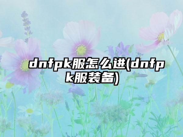 dnfpk服怎么进(dnfpk服装备)