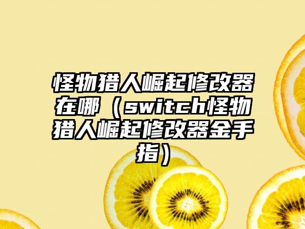 怪物猎人崛起修改器在哪（switch怪物猎人崛起修改器金手指）