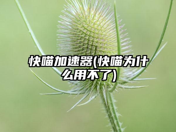 快喵加速器(快喵为什么用不了)