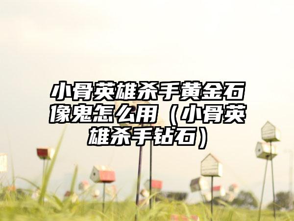 小骨英雄杀手黄金石像鬼怎么用（小骨英雄杀手钻石）