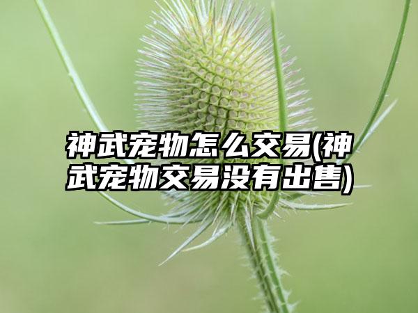 神武宠物怎么交易(神武宠物交易没有出售)