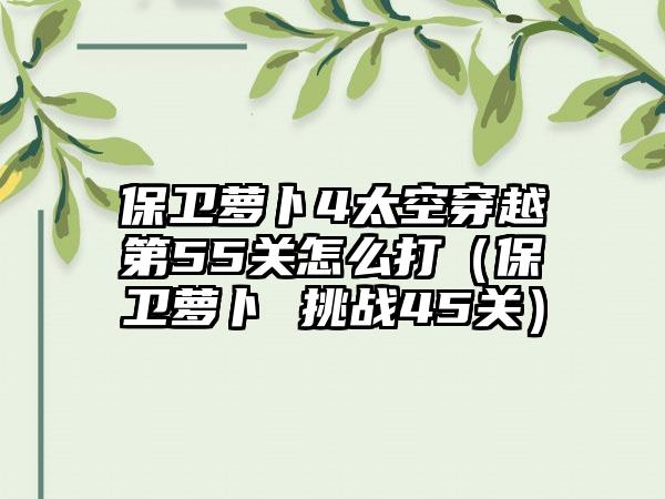 保卫萝卜4太空穿越第55关怎么打（保卫萝卜 挑战45关）
