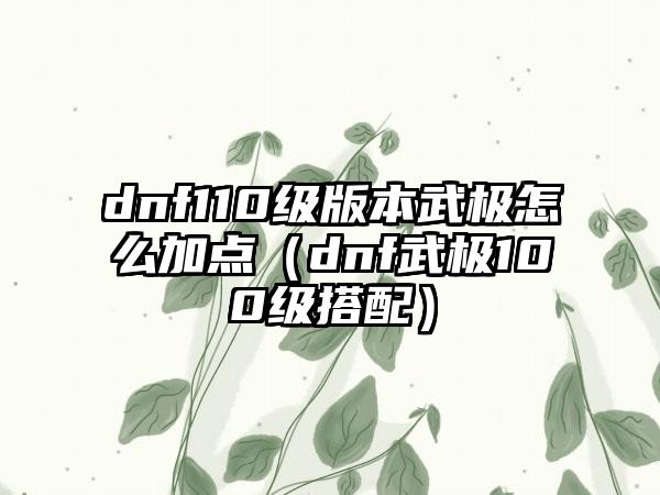 dnf110级版本武极怎么加点（dnf武极100级搭配）
