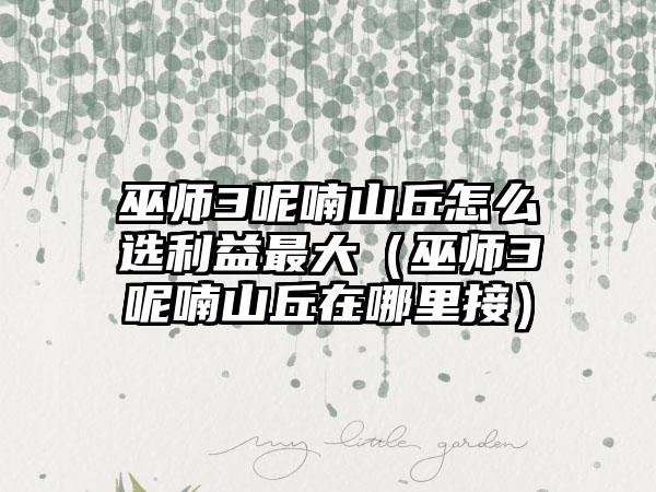 巫师3呢喃山丘怎么选利益最大（巫师3呢喃山丘在哪里接）