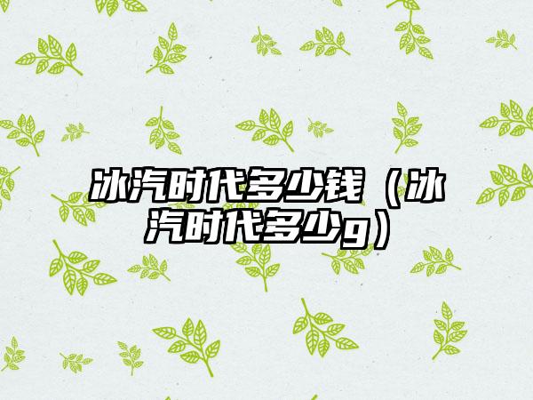 冰汽时代多少钱（冰汽时代多少g）