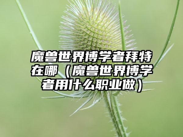 魔兽世界博学者拜特在哪（魔兽世界博学者用什么职业做）