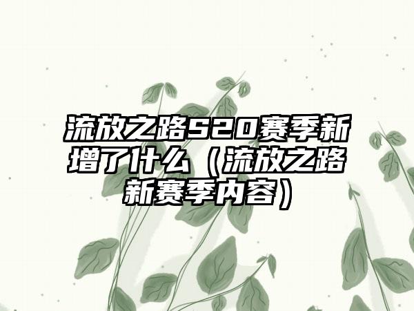 流放之路S20赛季新增了什么（流放之路新赛季内容）