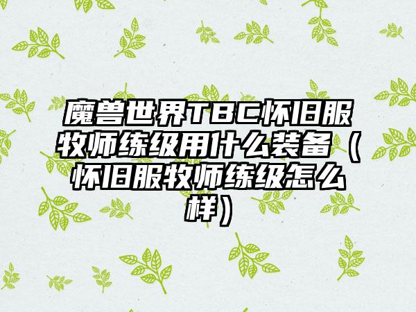 魔兽世界TBC怀旧服牧师练级用什么装备（怀旧服牧师练级怎么样）