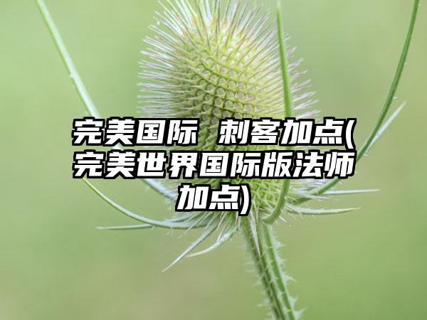 完美国际 刺客加点(完美世界国际版法师加点)