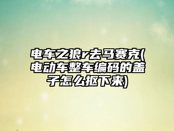 电车之狼r去马赛克(电动车整车编码的盖子怎么抠下来)