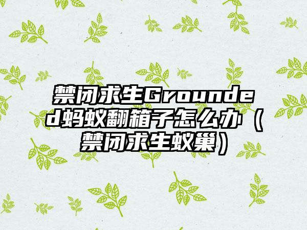 禁闭求生Grounded蚂蚁翻箱子怎么办（禁闭求生蚁巢）