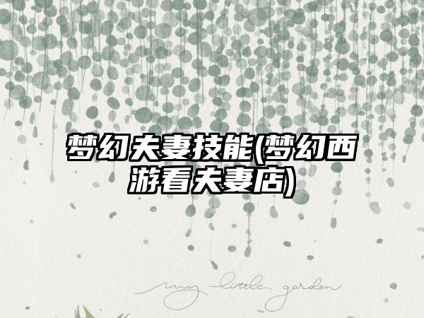 梦幻夫妻技能(梦幻西游看夫妻店)