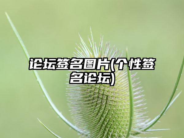 论坛签名图片(个性签名论坛)