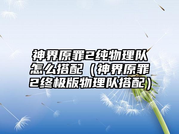 神界原罪2纯物理队怎么搭配（神界原罪2终极版物理队搭配）