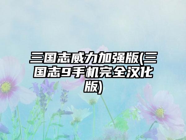 三国志威力加强版(三国志9手机完全汉化版)