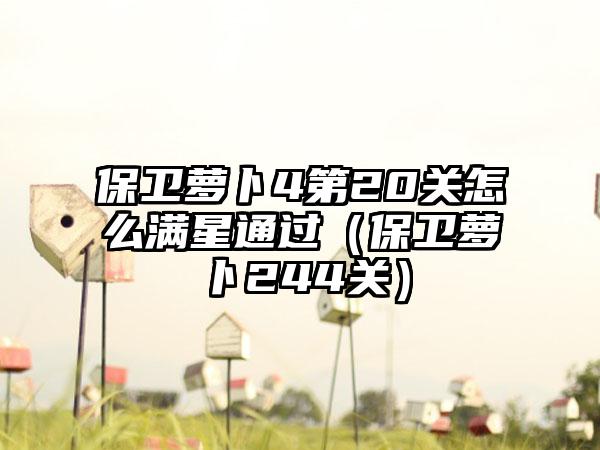 保卫萝卜4第20关怎么满星通过（保卫萝卜244关）