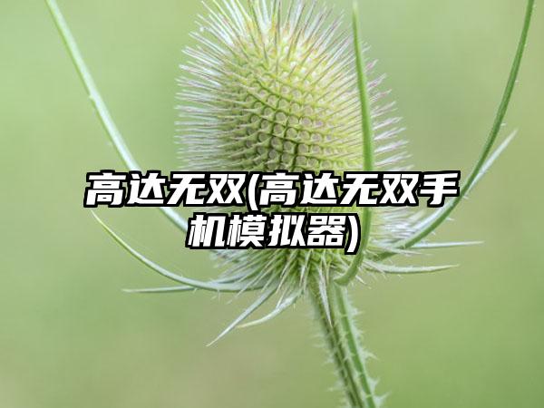 高达无双(高达无双手机模拟器)