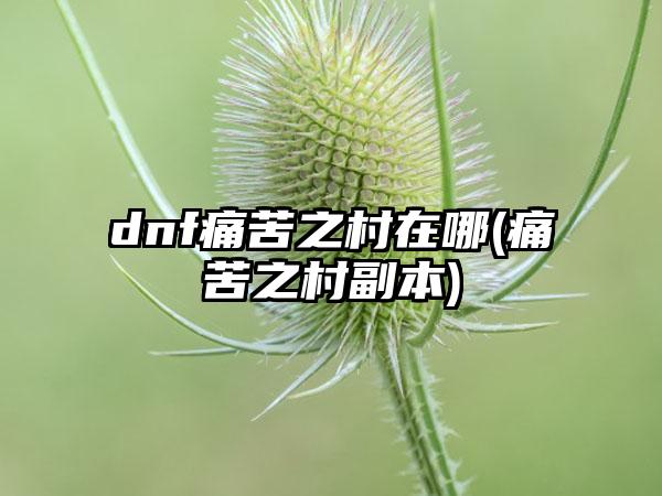 dnf痛苦之村在哪(痛苦之村副本)