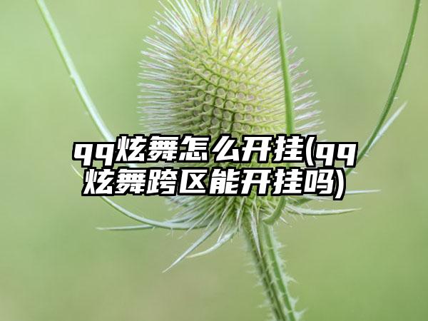 qq炫舞怎么开挂(qq炫舞跨区能开挂吗)