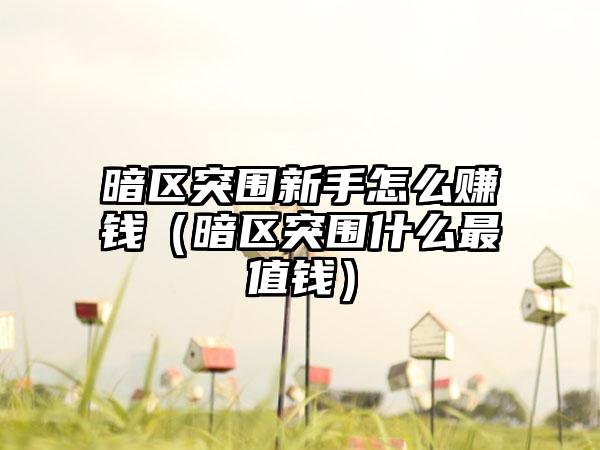 暗区突围新手怎么赚钱（暗区突围什么最值钱）