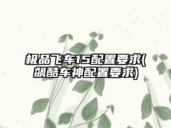 极品飞车15配置要求(飙酷车神配置要求)