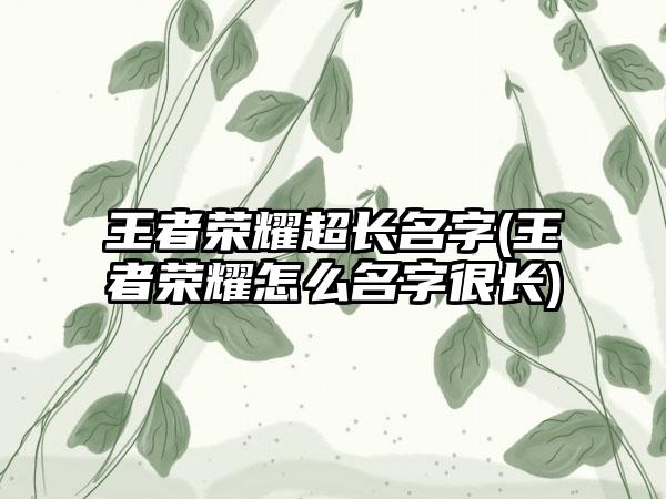 王者荣耀超长名字(王者荣耀怎么名字很长)