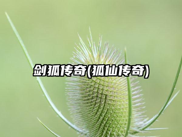剑狐传奇(狐仙传奇)