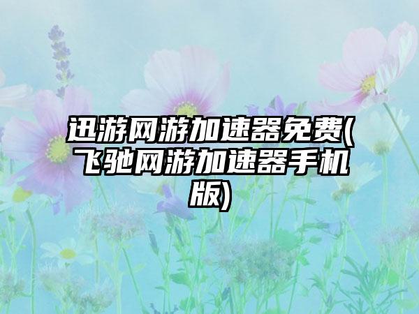 迅游网游加速器免费(飞驰网游加速器手机版)