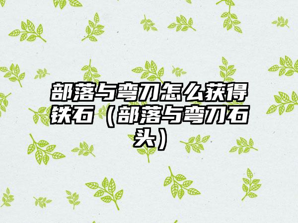 部落与弯刀怎么获得铁石（部落与弯刀石头）