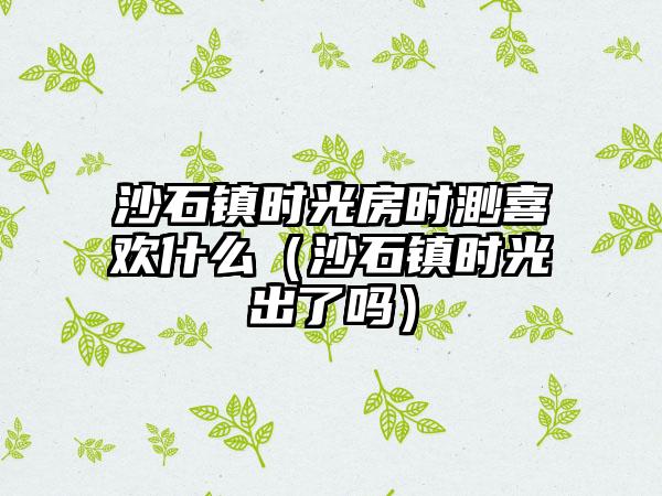 沙石镇时光房时渺喜欢什么（沙石镇时光出了吗）