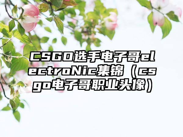 CSGO选手电子哥electroNic集锦（csgo电子哥职业头像）