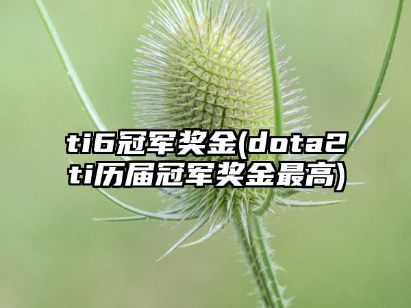 ti6冠军奖金(dota2ti历届冠军奖金最高)