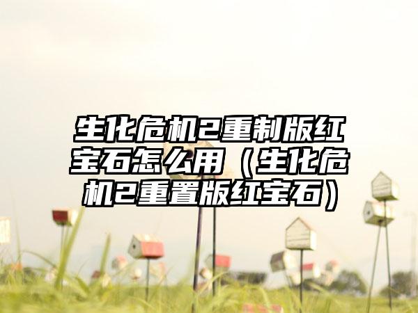 生化危机2重制版红宝石怎么用（生化危机2重置版红宝石）