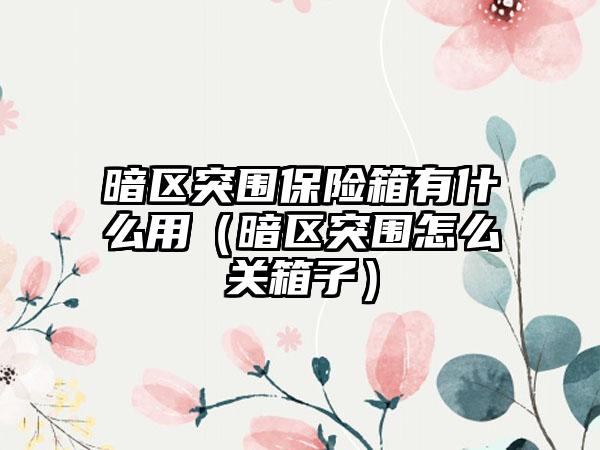 暗区突围保险箱有什么用（暗区突围怎么关箱子）