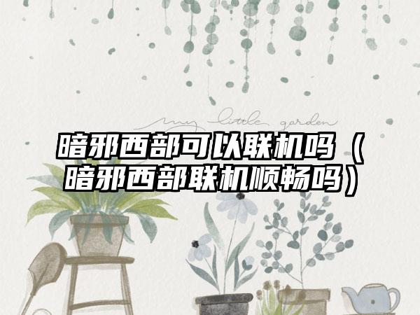 暗邪西部可以联机吗（暗邪西部联机顺畅吗）