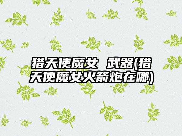 猎天使魔女 武器(猎天使魔女火箭炮在哪)