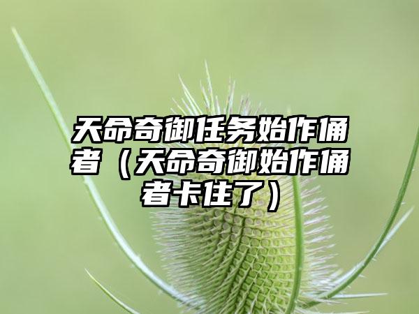 天命奇御任务始作俑者（天命奇御始作俑者卡住了）