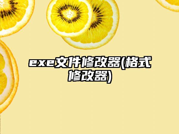 exe文件修改器(格式修改器)