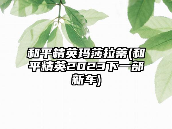 和平精英玛莎拉蒂(和平精英2023下一部新车)