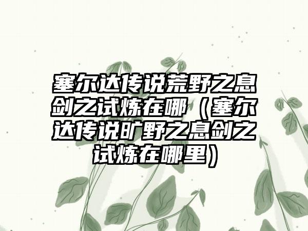 塞尔达传说荒野之息剑之试炼在哪（塞尔达传说旷野之息剑之试炼在哪里）