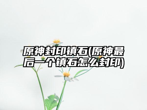 原神封印镇石(原神最后一个镇石怎么封印)