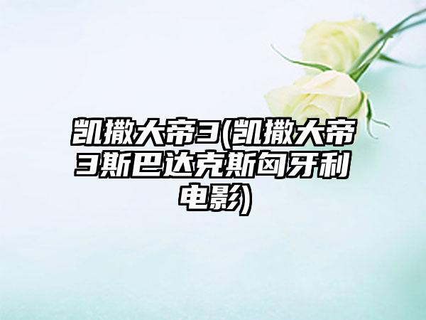 凯撒大帝3(凯撒大帝3斯巴达克斯匈牙利电影)