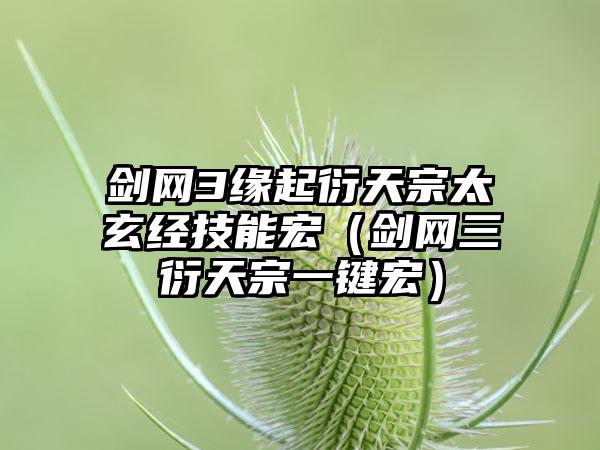 剑网3缘起衍天宗太玄经技能宏（剑网三衍天宗一键宏）