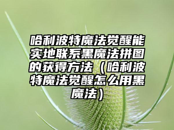 哈利波特魔法觉醒能实地联系黑魔法拼图的获得方法（哈利波特魔法觉醒怎么用黑魔法）