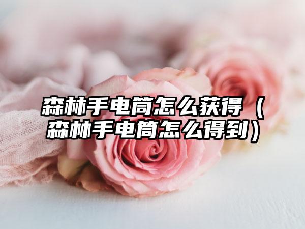 森林手电筒怎么获得（森林手电筒怎么得到）