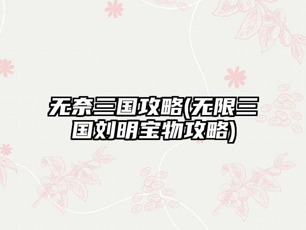 无奈三国攻略(无限三国刘明宝物攻略)