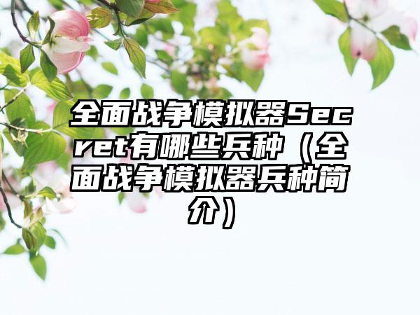 全面战争模拟器Secret有哪些兵种（全面战争模拟器兵种简介）