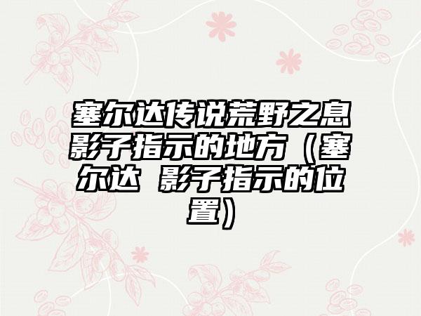 塞尔达传说荒野之息影子指示的地方（塞尔达 影子指示的位置）