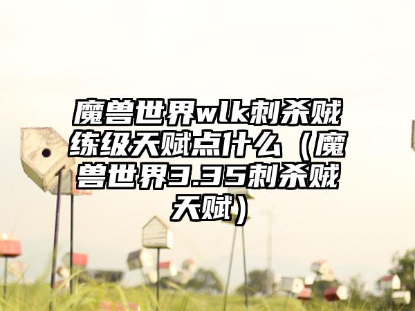魔兽世界wlk刺杀贼练级天赋点什么（魔兽世界3.35刺杀贼天赋）
