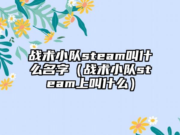 战术小队steam叫什么名字（战术小队steam上叫什么）